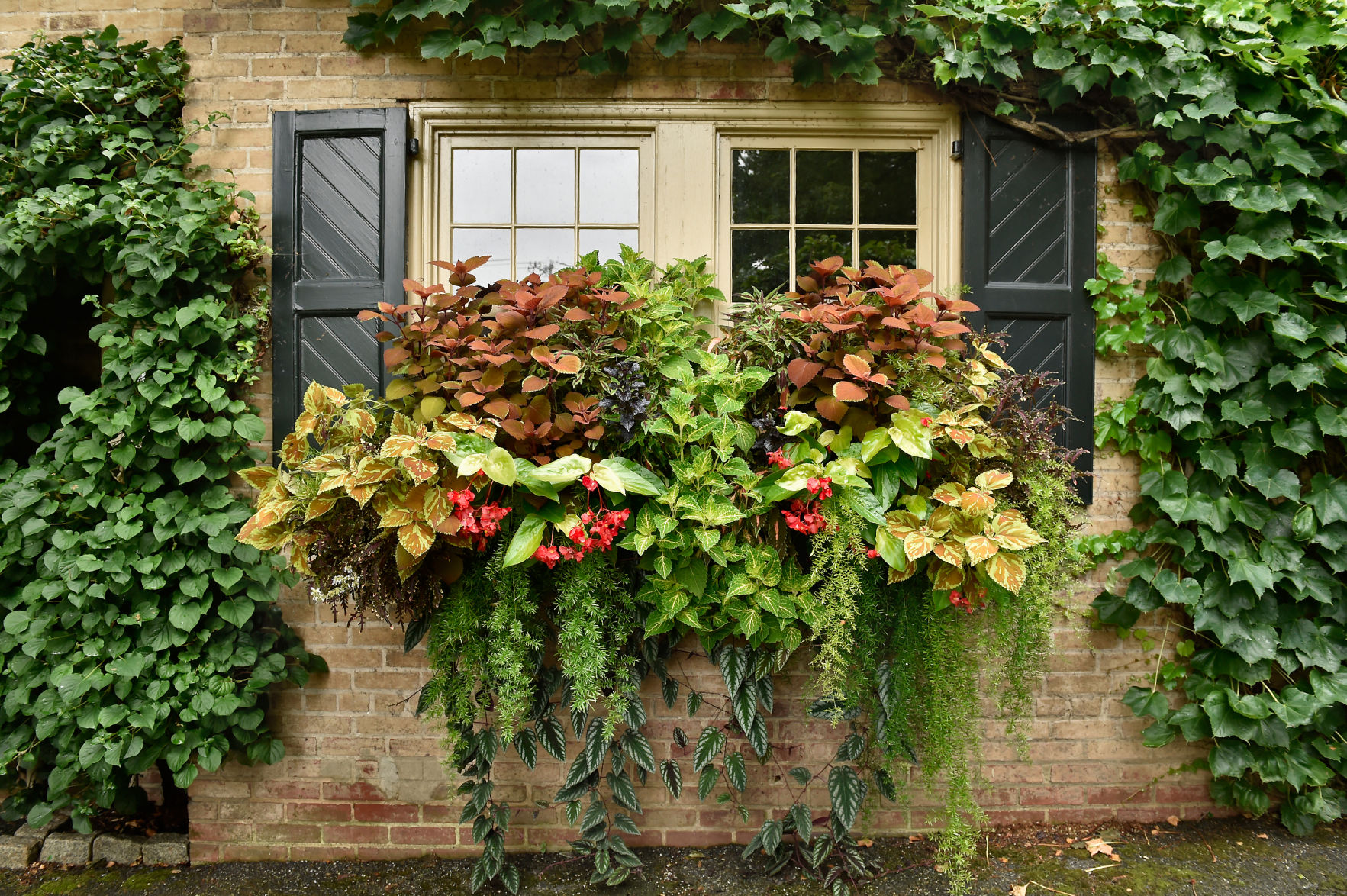 Window boxes